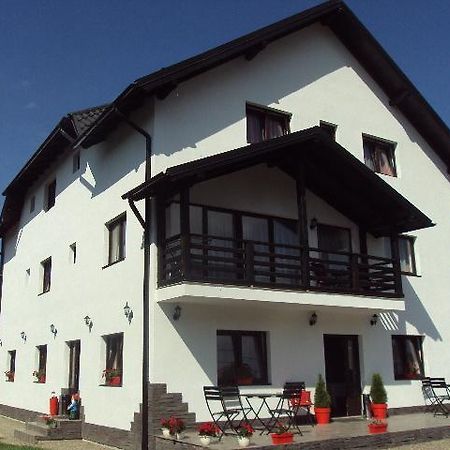 Pensiunea Vasilica Ceterasu Oncesti Exterior photo